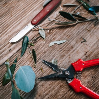 Auf einem Holzuntergrund sind eine Schere und ein Messer platziert, bereit für verschiedene Anwendungen.